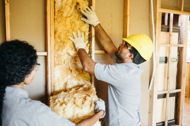 Best Affordable Insulation Services  in Mclean, VA