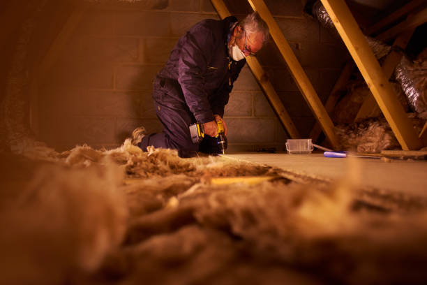 Best Crawl Space Insulation  in Mclean, VA